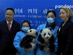 ������������è��Ȼˣ��å��