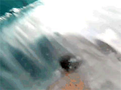 �о���Ȼ�����˳���