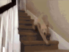 �������������˵�ʱ��