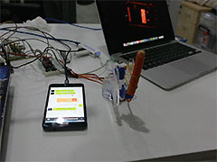 �����������