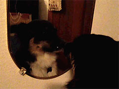 ���˽ڵ������