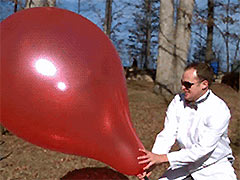 ���پ�ͷ�¿������ѵ�����