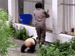 ����Ů��������ʱ......