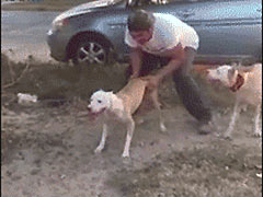 ������һĻ�Ҿ����ˣ�