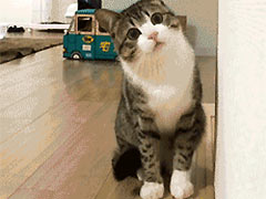 �˵��ͫF���������ղ����f