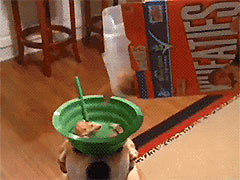 ��С���ӻ������ƶ���