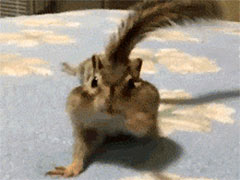 Ů����Ĩ��ָ���Ͷ���������