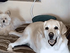 ��������ô��ѵ���ӵ�