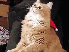 ��ô������������������ģ�����