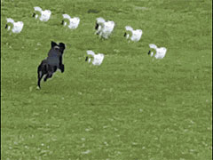 ������ʱ���±���