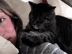 �Ҷ������氮��~~