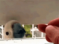 ���޿���������