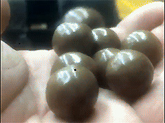 ������֪��������