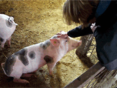 �Ҹ��Ķ��ι�ȥ��