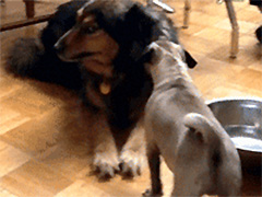 һ��ͼ������ʲô������Ȧ��