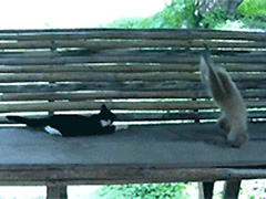 ���Ǻ��Ӷ���ô