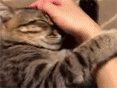 ��Ҫ�뿪�ң�