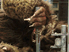 �������������ǡ�����