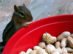 ��һ�ž����ˡ�����������