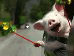 �û�ϲ����~