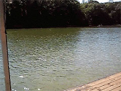 ����Ч�Ҹ����֣�