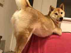 ��û����˭ɧ����ô������