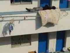 ���ֵ� ��ҷ�����