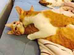 ��ѽѽ�����Ա߻����˿�����