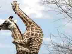 ����!����Ŀ�����ô����