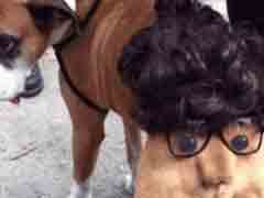 ����������������ǲ��Ұ���