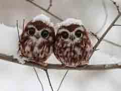 �����������మ��һ����