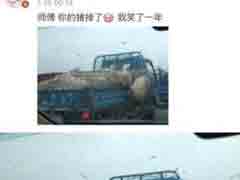 ʦ��ʦ�������������