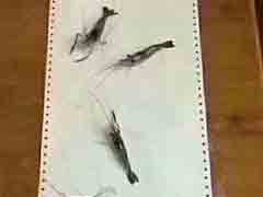 ��� �ۻ�Ҫ��Ҫ����