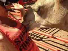 ��ʵ~һ��ʼ���Ǿܾ���