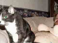 �ߣ���ʹ��������Ҳ����û��Ȥ