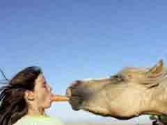 ס�죡�������ڸ�ɶ