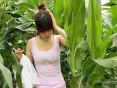 �ѵ�����Ǵ�˵�е�С����