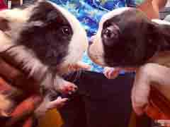 ���ֱ�Ȼ����ҵ���