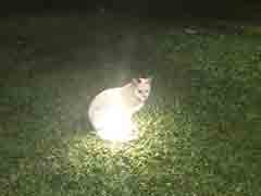 ���Ǹմ��ĸ����������