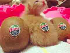 ������˼���ۻ��ϴ��ˣ���