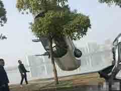 ����磡�����������