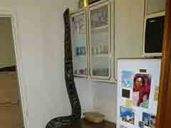 һ�������ҳ���������