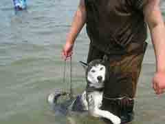 �Դӽ̻��˶�����Ӿ �Ǽһ��