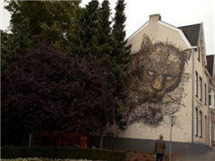 ��ɽ�����Űɣ�