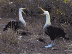 ��Ž������Ķ��죡