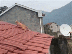 è��ôҲˤ������