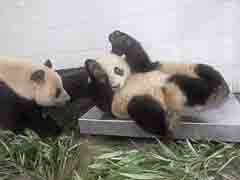 �Բ� ��զ���ˣ����Ϲ���û����