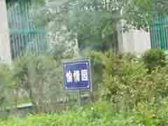 ��Ұս��̫�����˰�