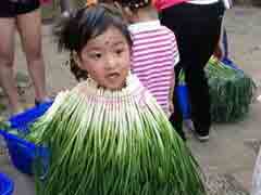 ���������Ǵл�������