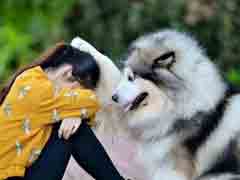 �⻭�棡��ֱů����